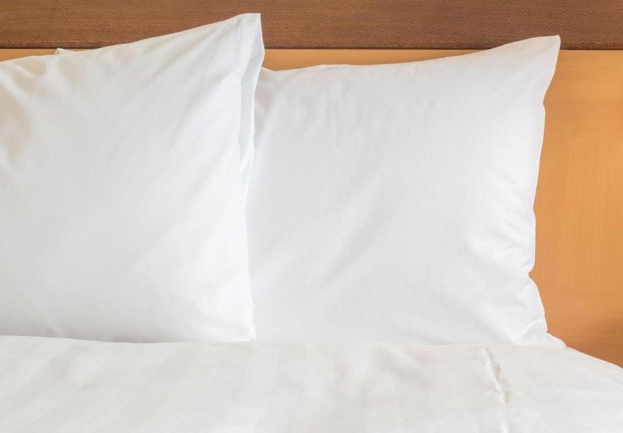 Holiday Inn Express Knoxville-Strawberry Plains By Ihg Extérieur photo